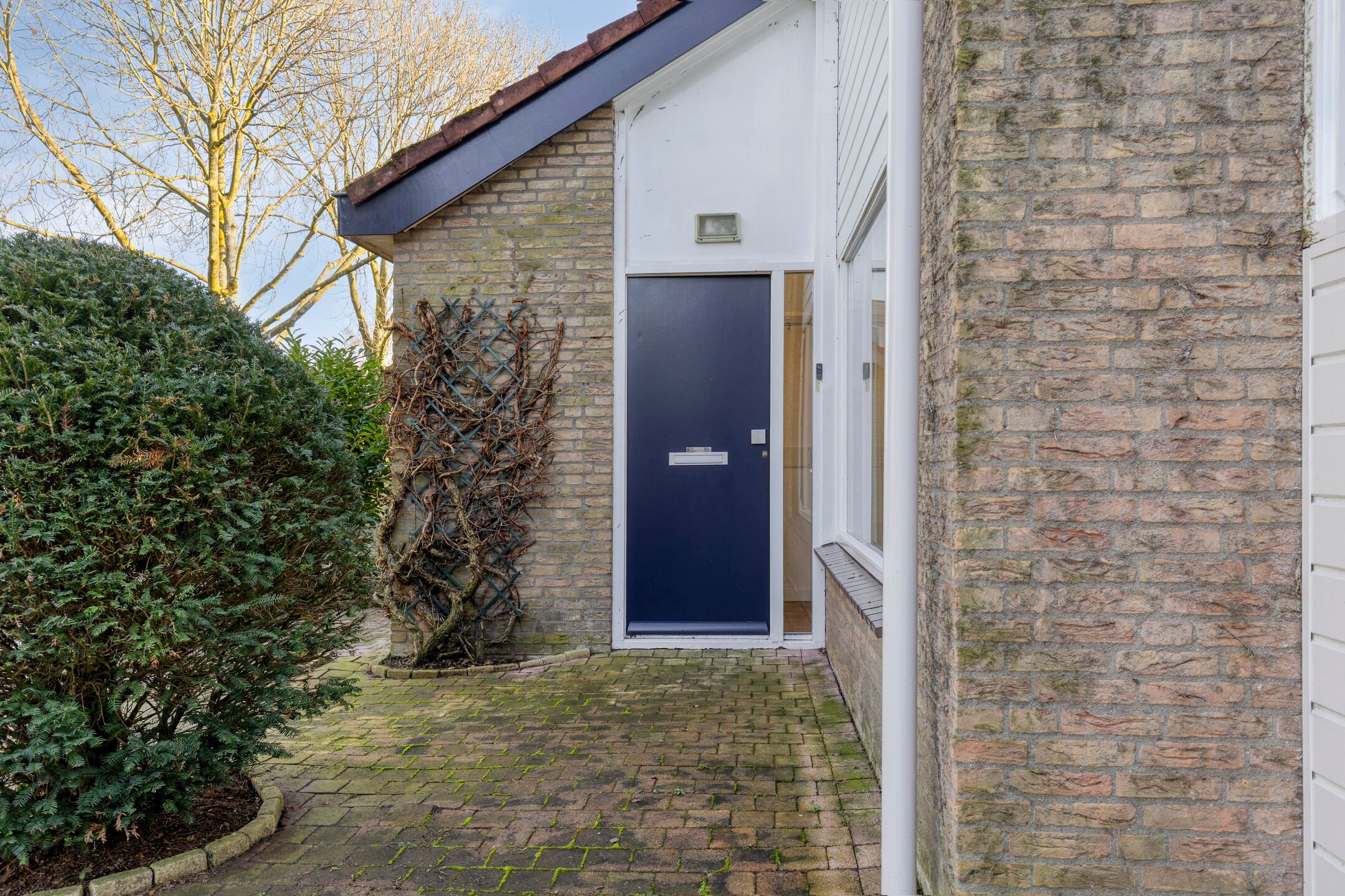 Photo 45 of Dixieland 6