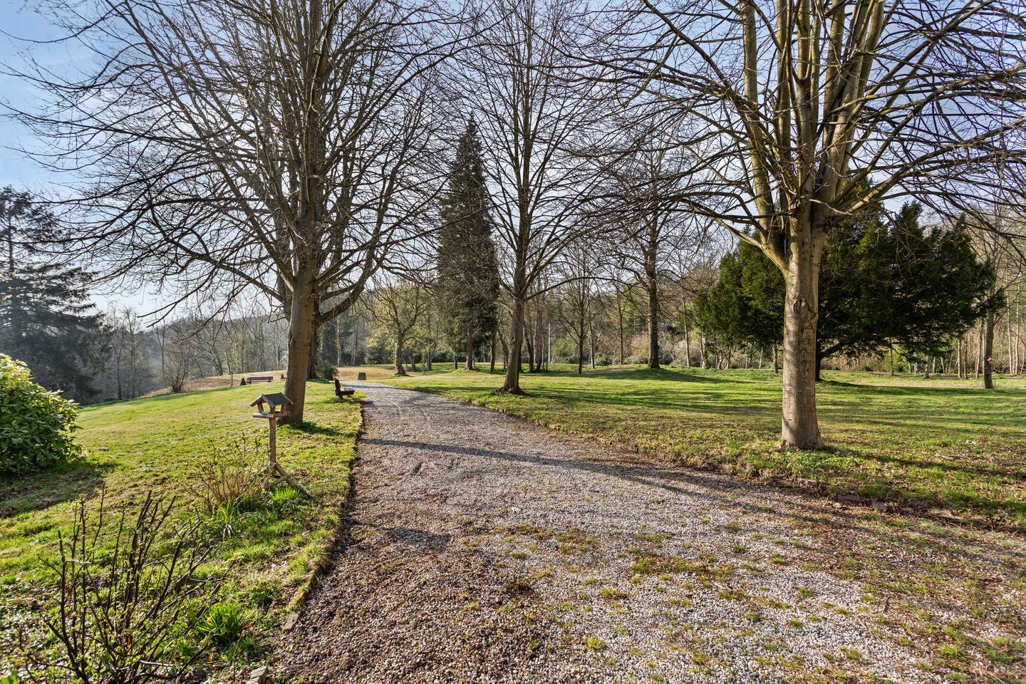 Foto 50 van Schovetweg 82