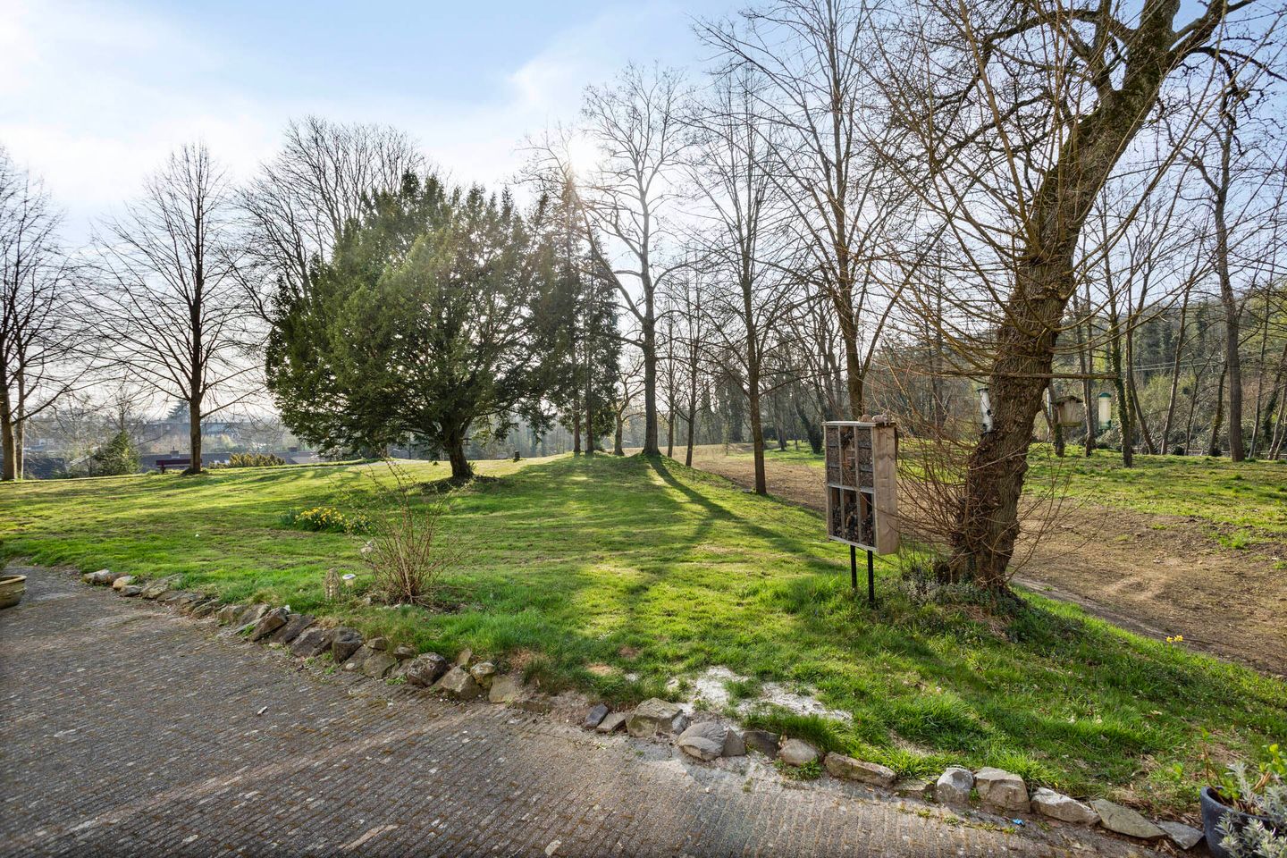 Foto 49 van Schovetweg 82