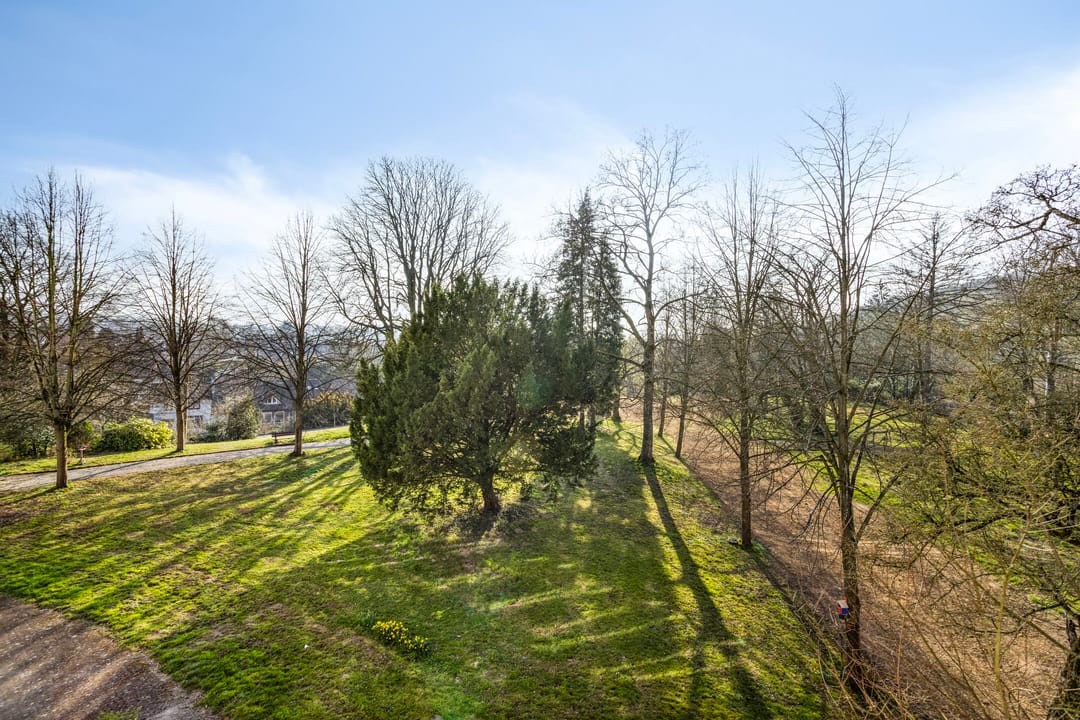 Foto 52 van Schovetweg 82