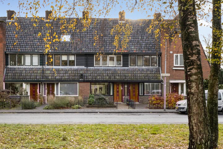 Foto 42 van Nepveulaan 104