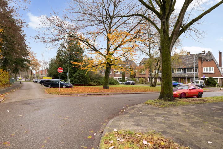 Foto 43 van Nepveulaan 104