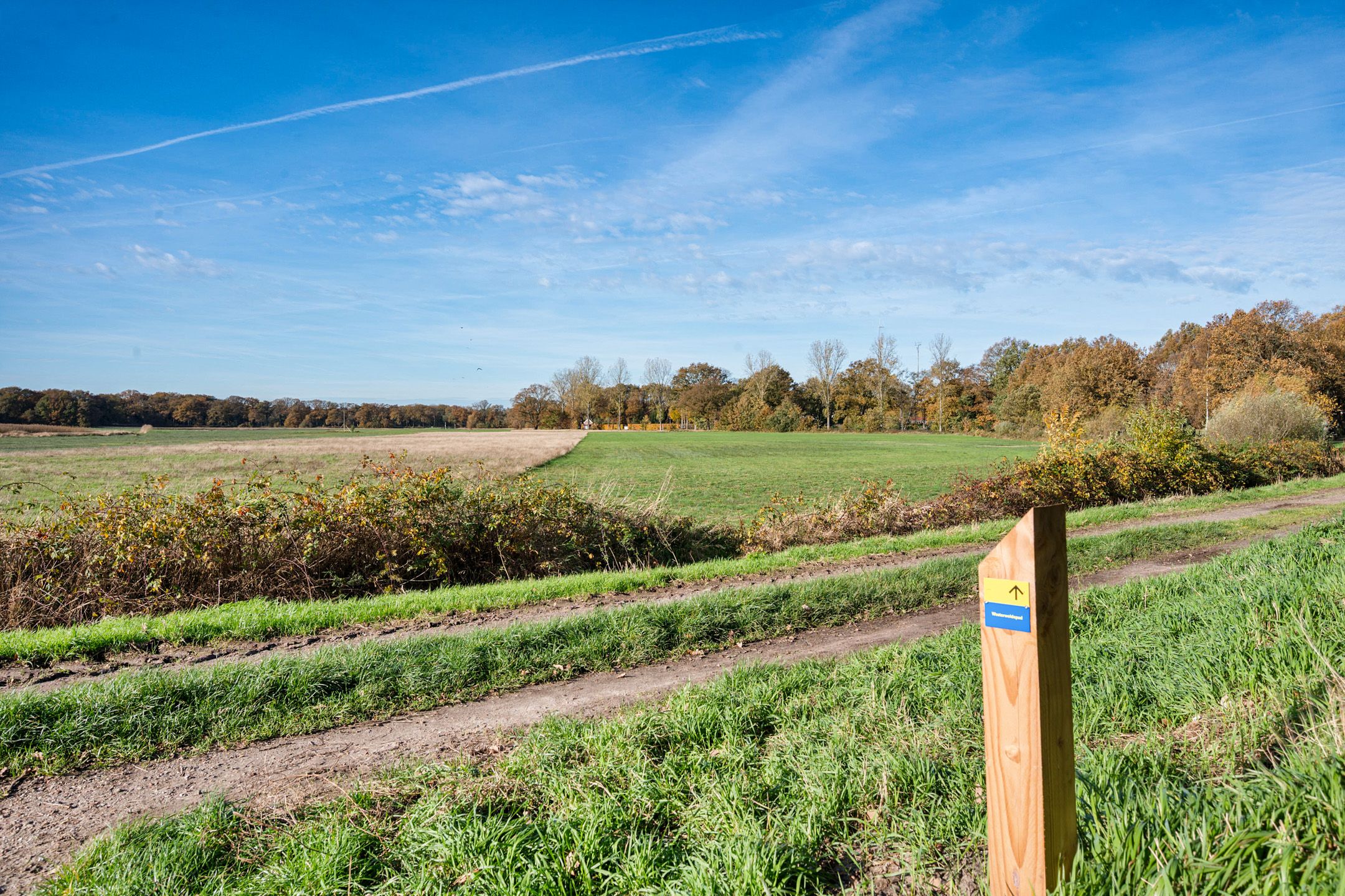 Photo 6 of De Breeakker 1