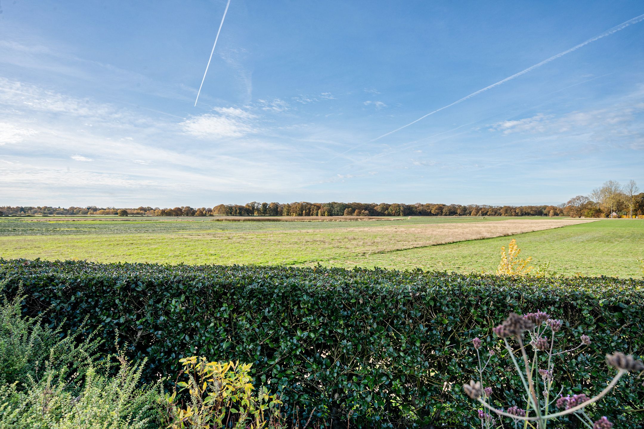 Photo 54 of De Breeakker 1