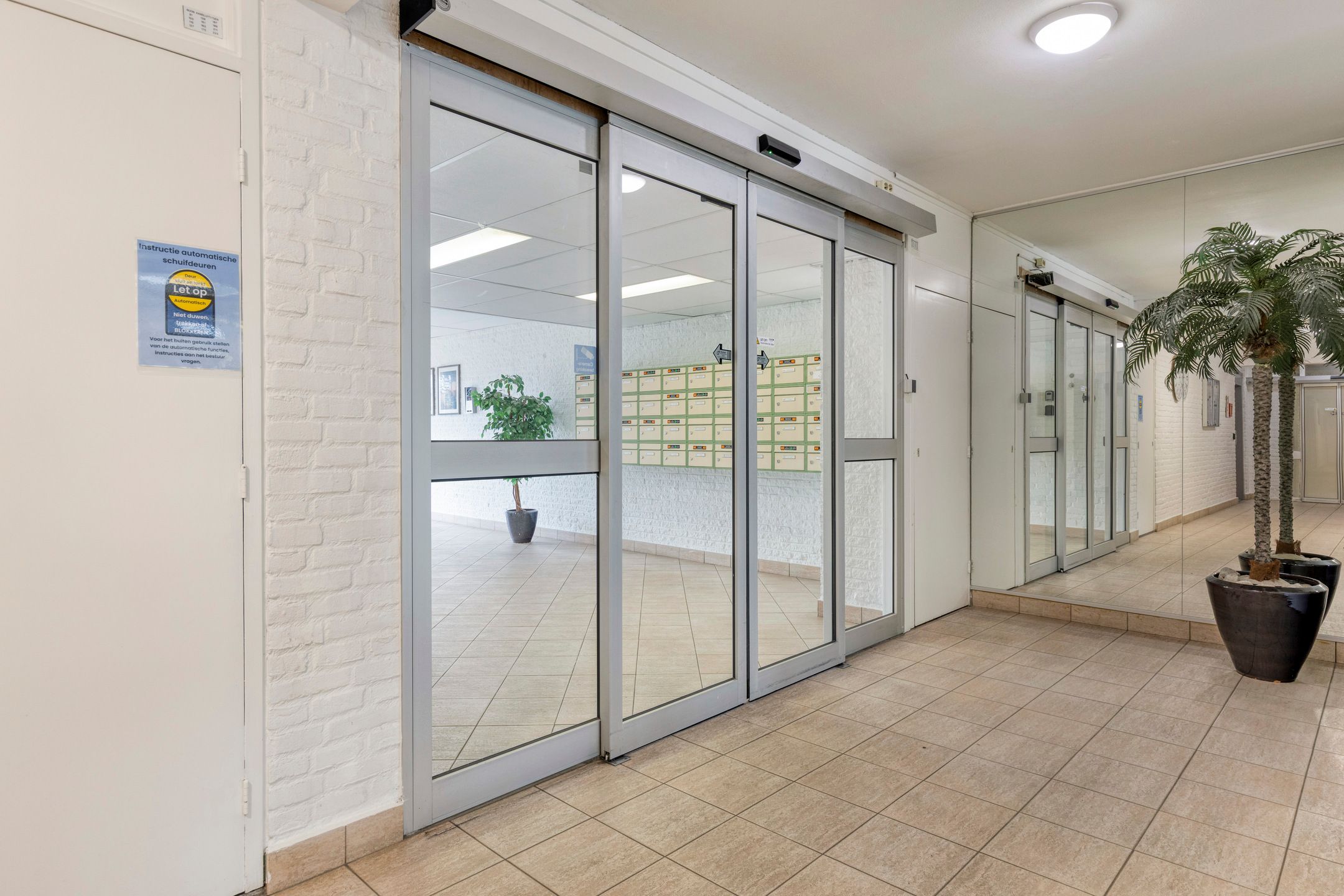 Foto 6 van Suze Groenewegstraat 91