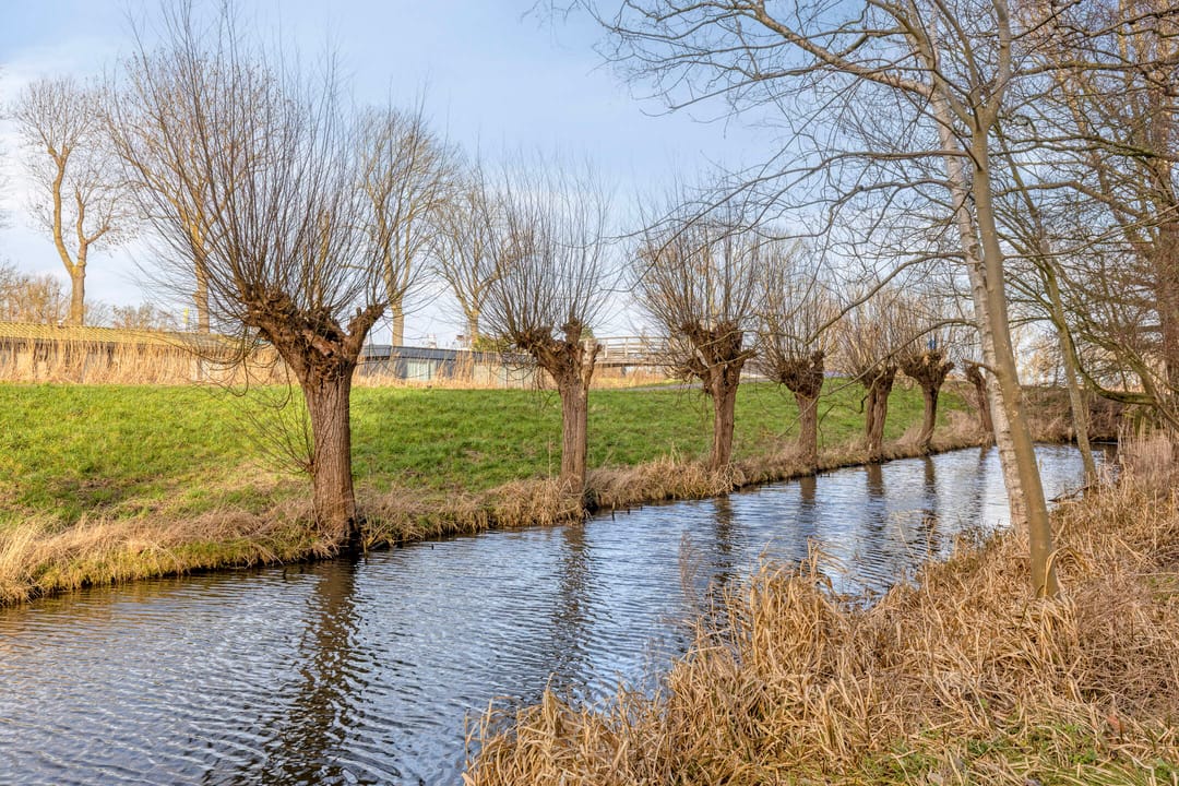 Foto 38 van Suze Groenewegstraat 91