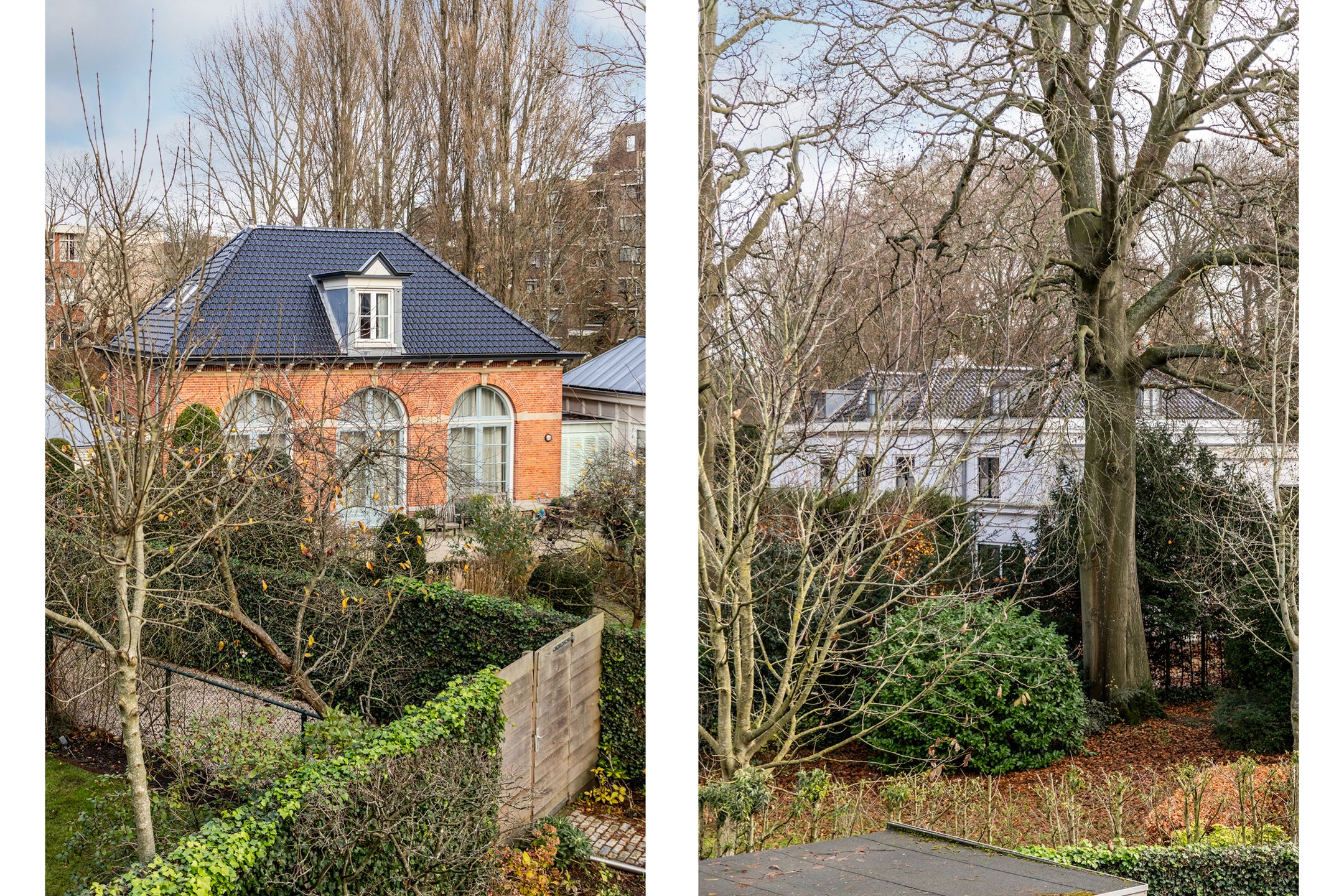 Foto 60 van Westerhoutpark 20