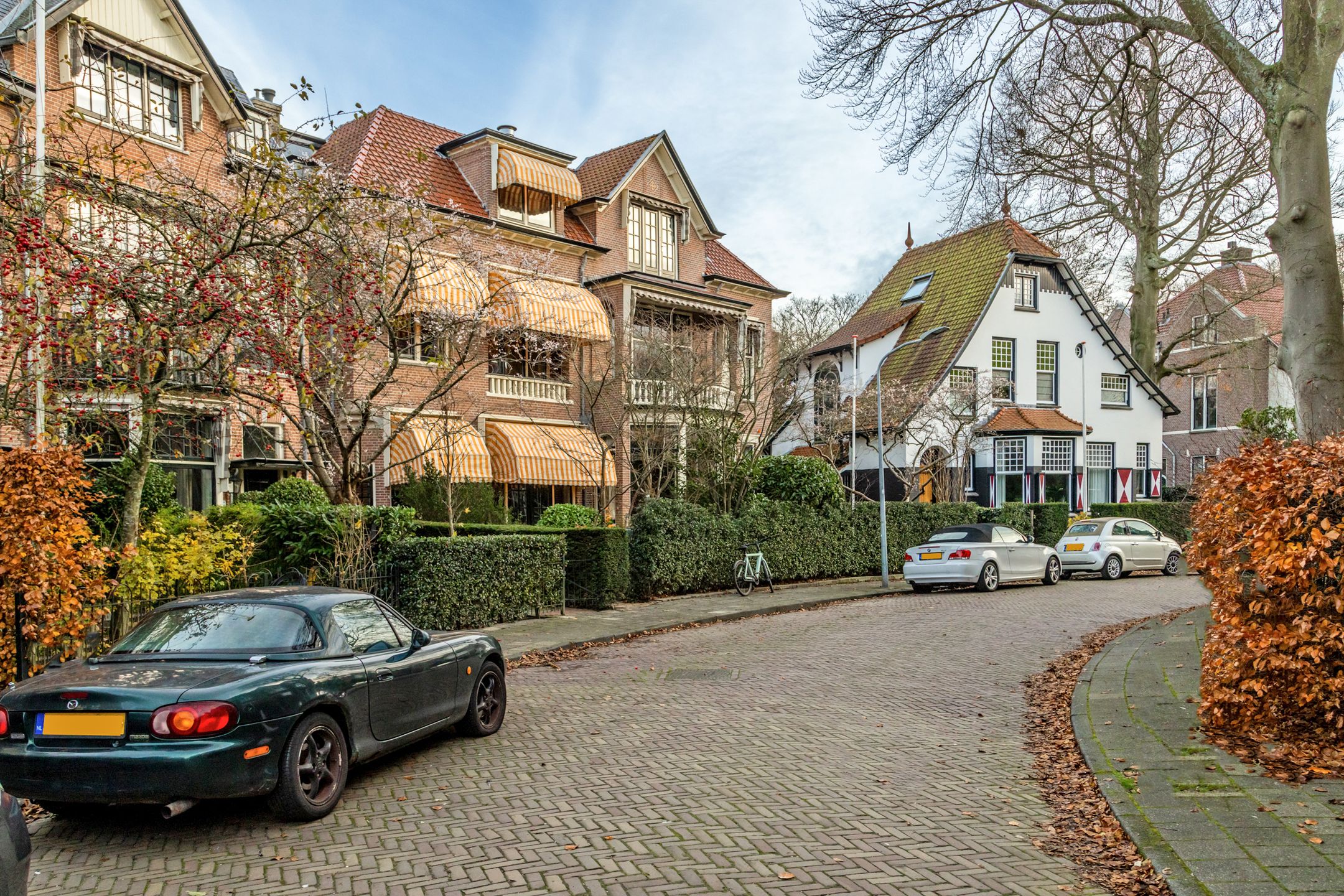 Foto 63 van Westerhoutpark 20