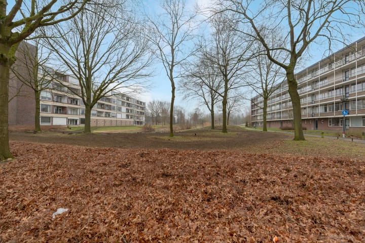 Foto 2 van Heer Arnoudstraat 33