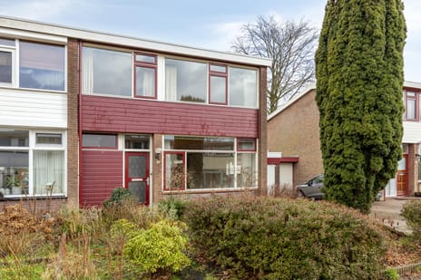 undefined main image