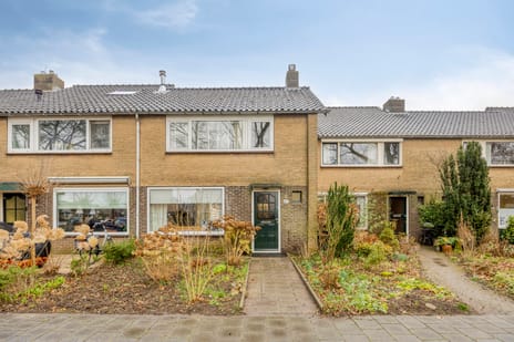 undefined main image