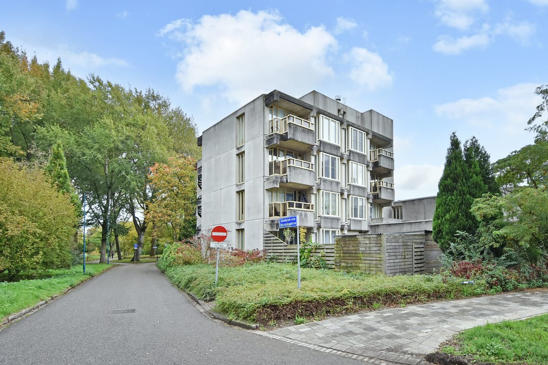 Foto 1 van Kinderen van Versteegplein 30