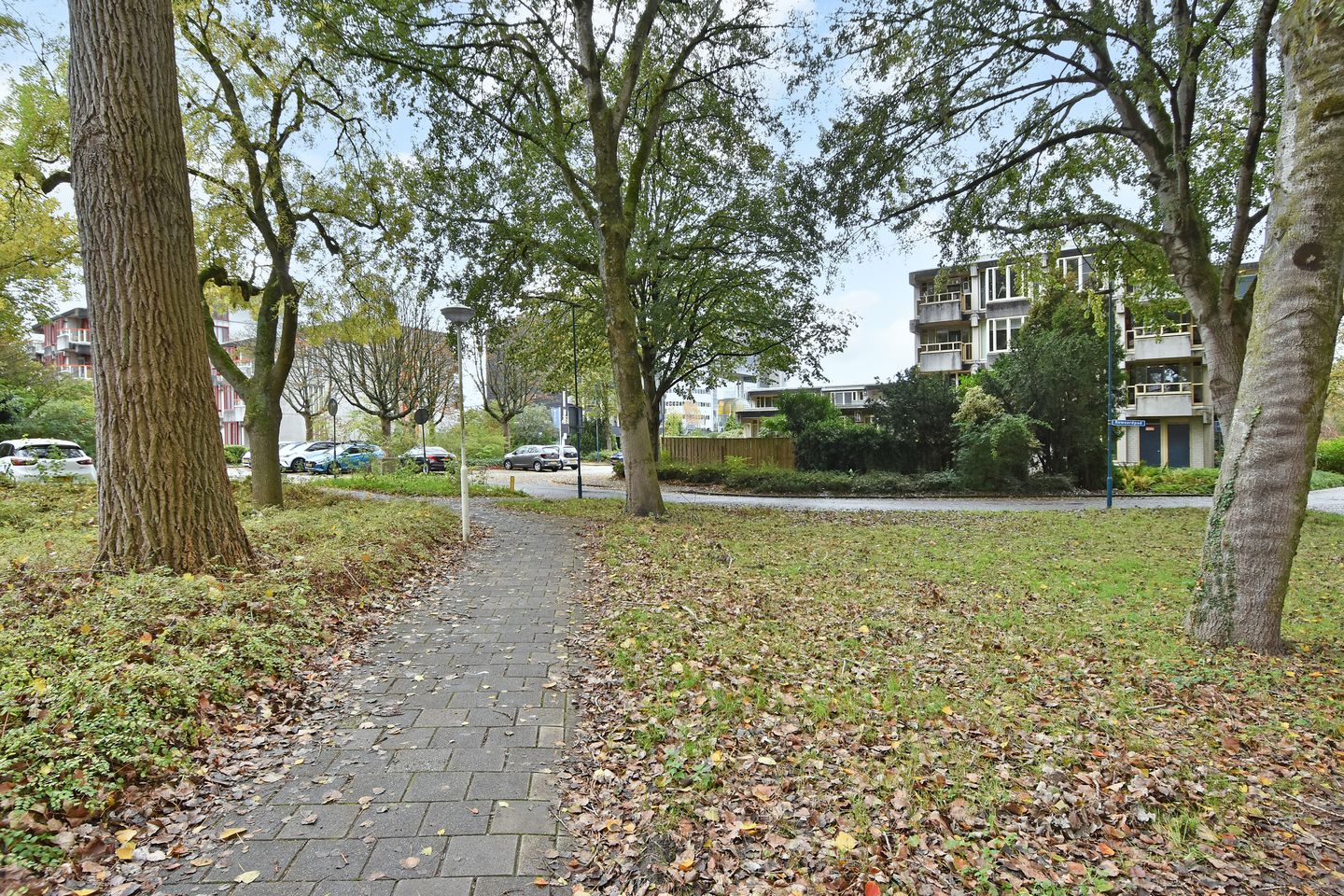 Foto 40 van Kinderen van Versteegplein 30