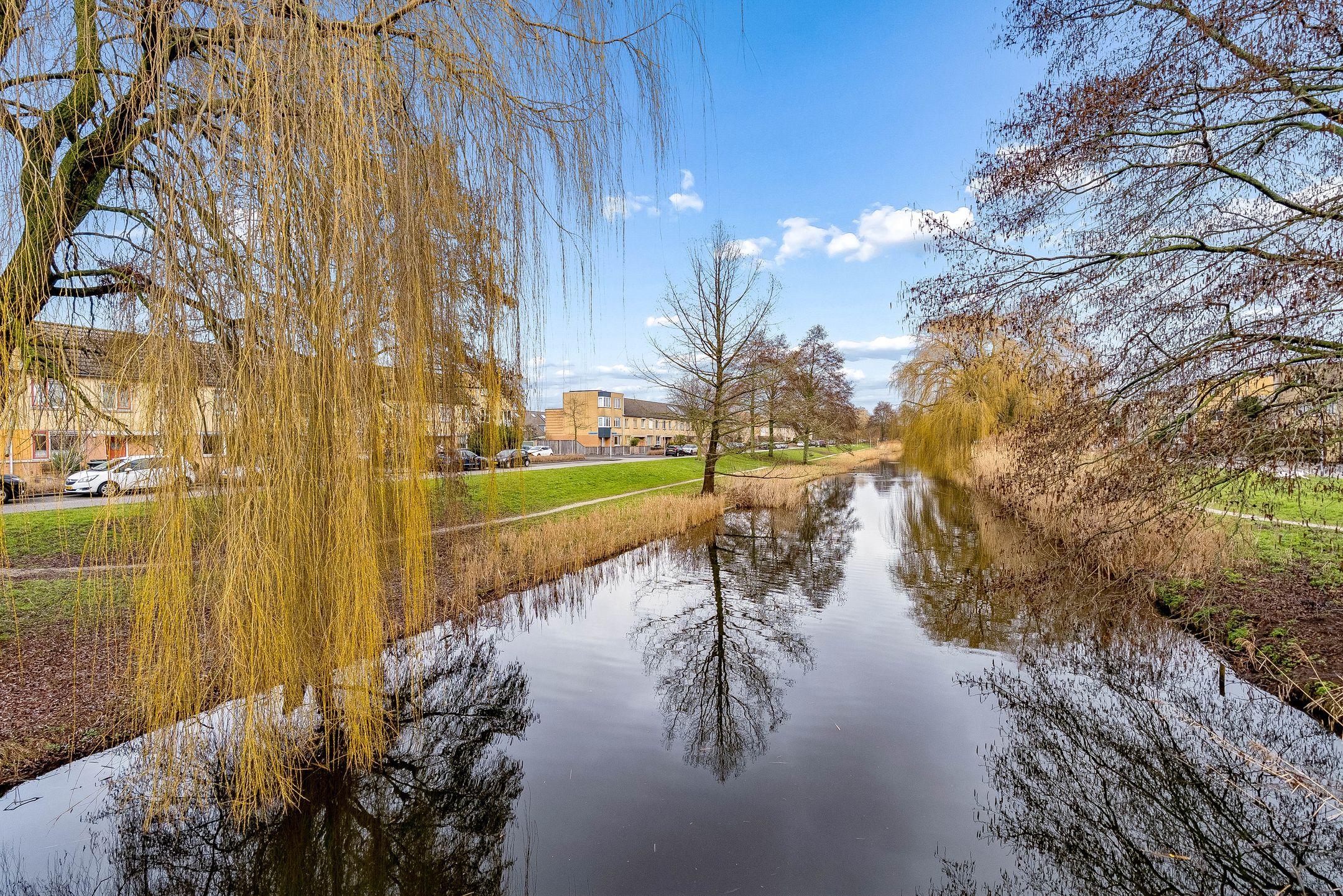 Foto 48 van Godfried Bomansstraat 51