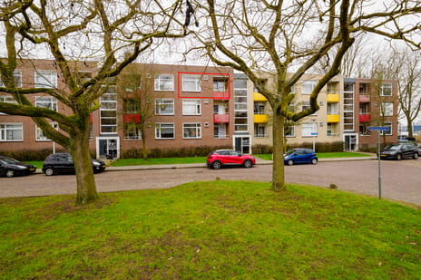 Arubastraat thumbnail