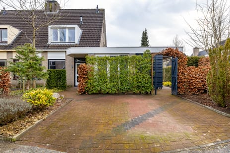 undefined main image