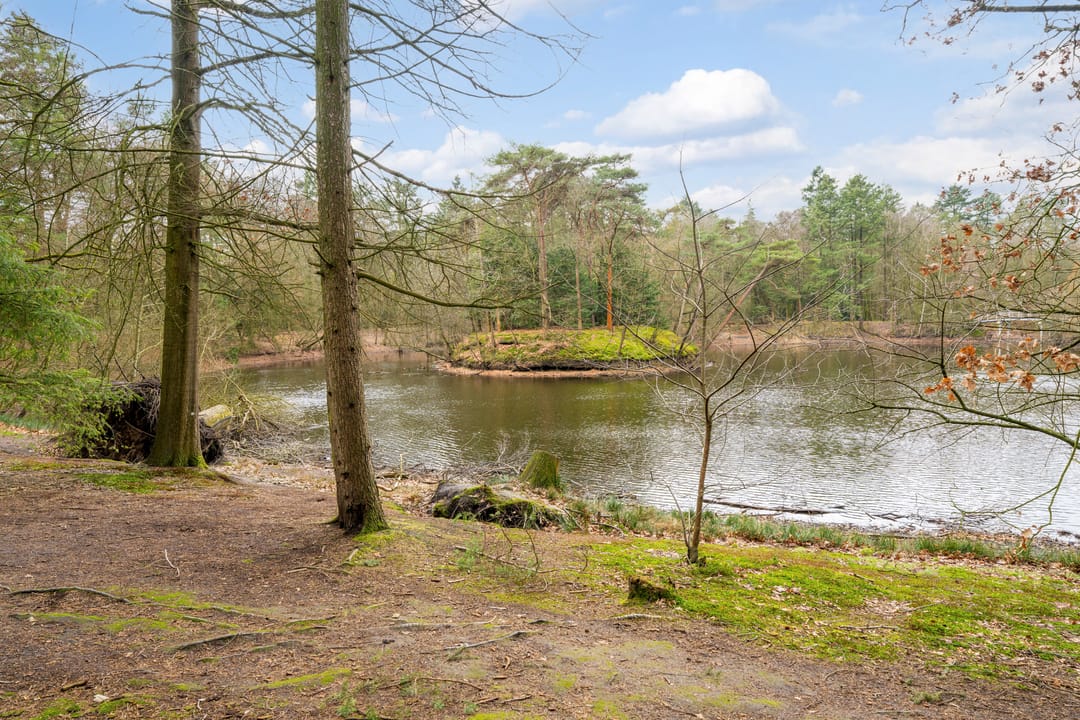 Foto 43 van Marie Koenenlaan 73