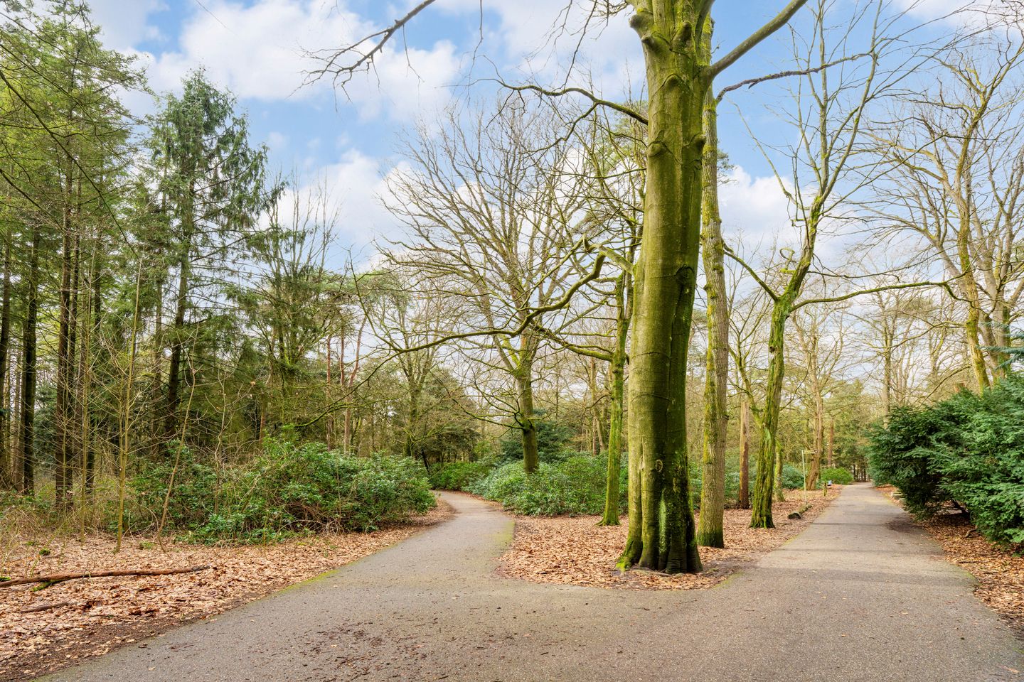 Foto 44 van Marie Koenenlaan 73