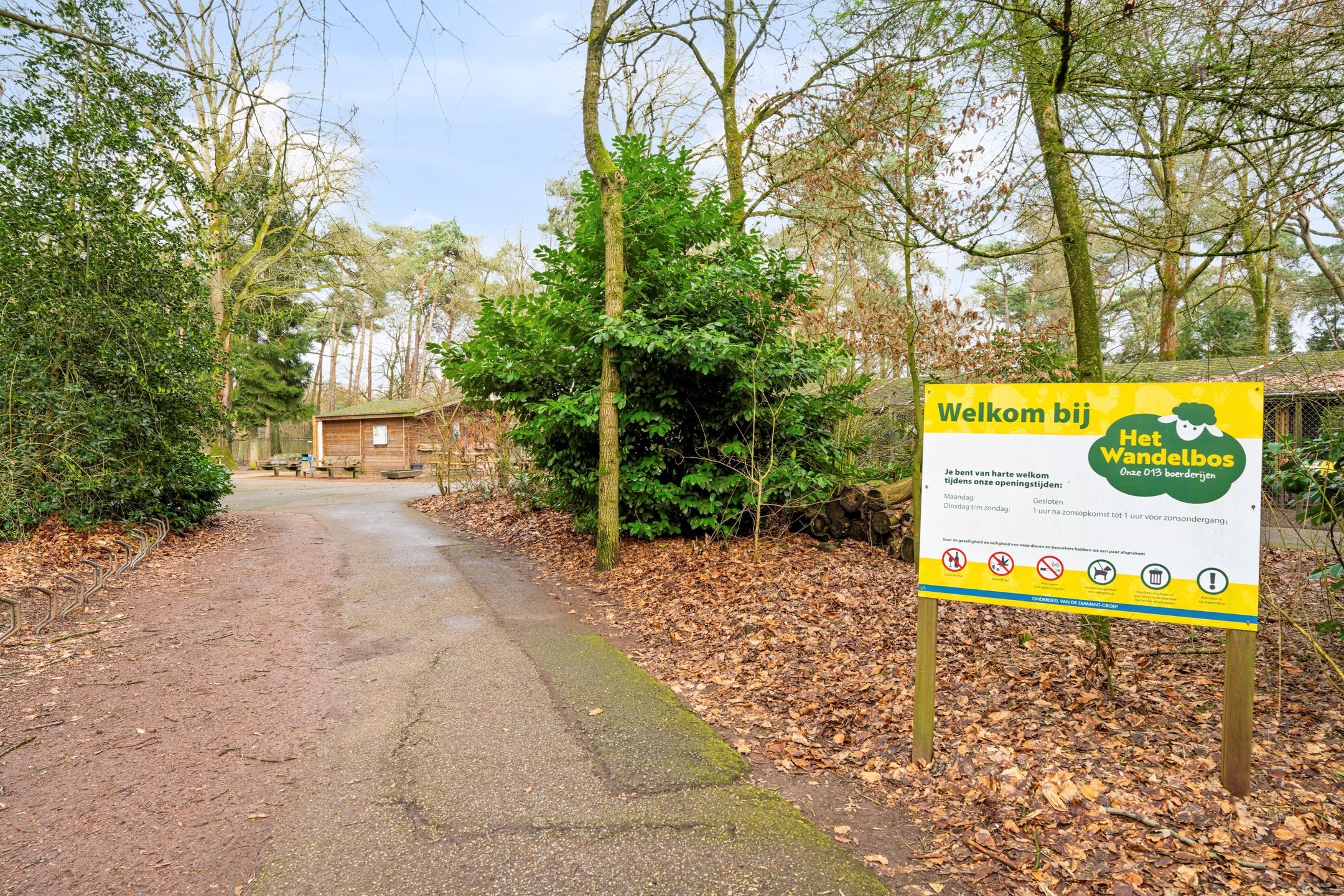 Foto 45 van Marie Koenenlaan 73