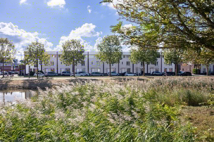 Libelsingel 69 main image