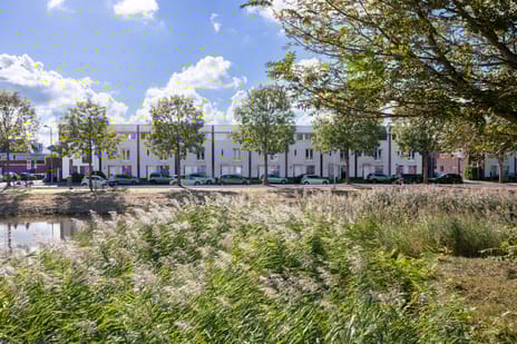 Libelsingel thumbnail