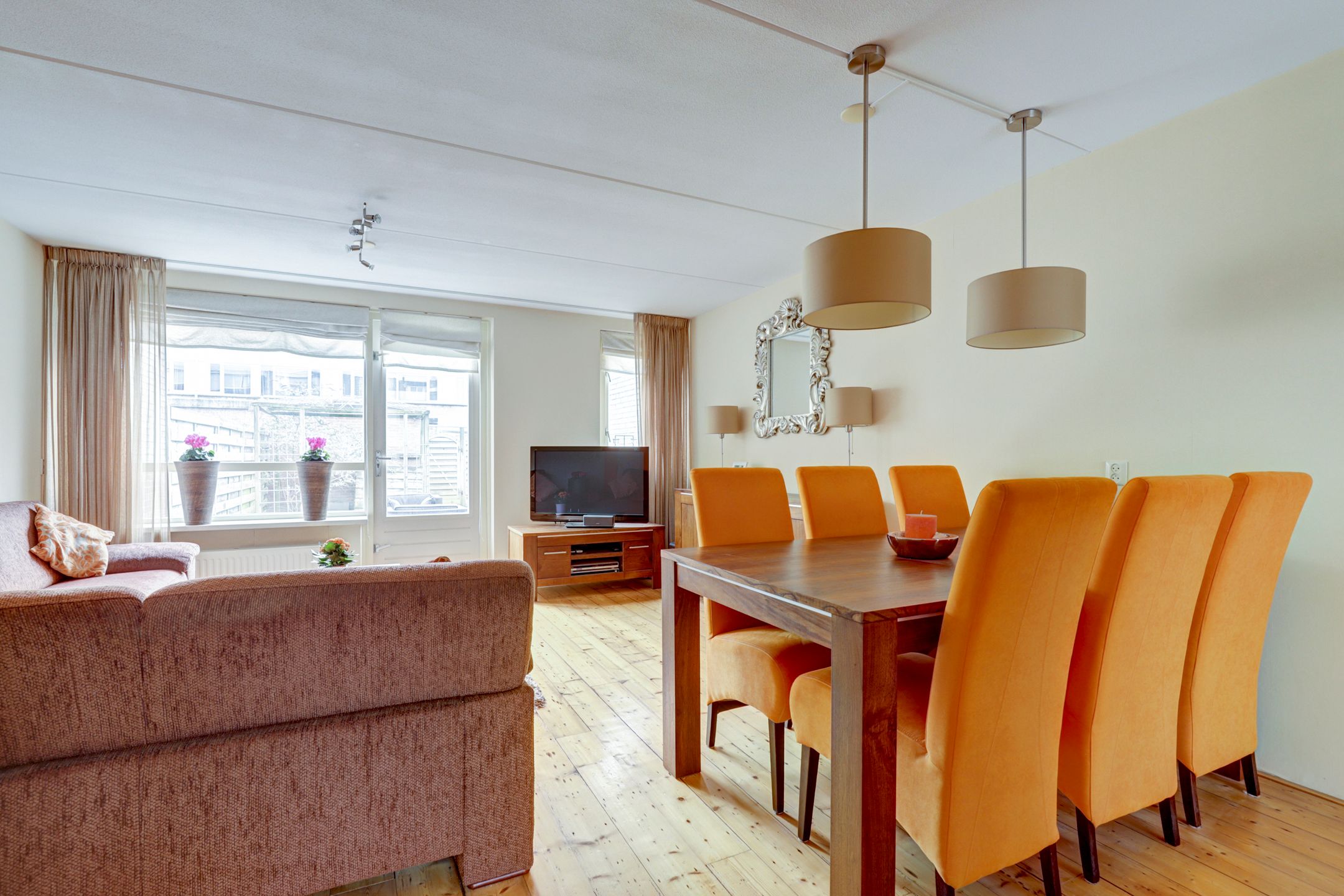 Foto 3 van Zilvermeeuw 29