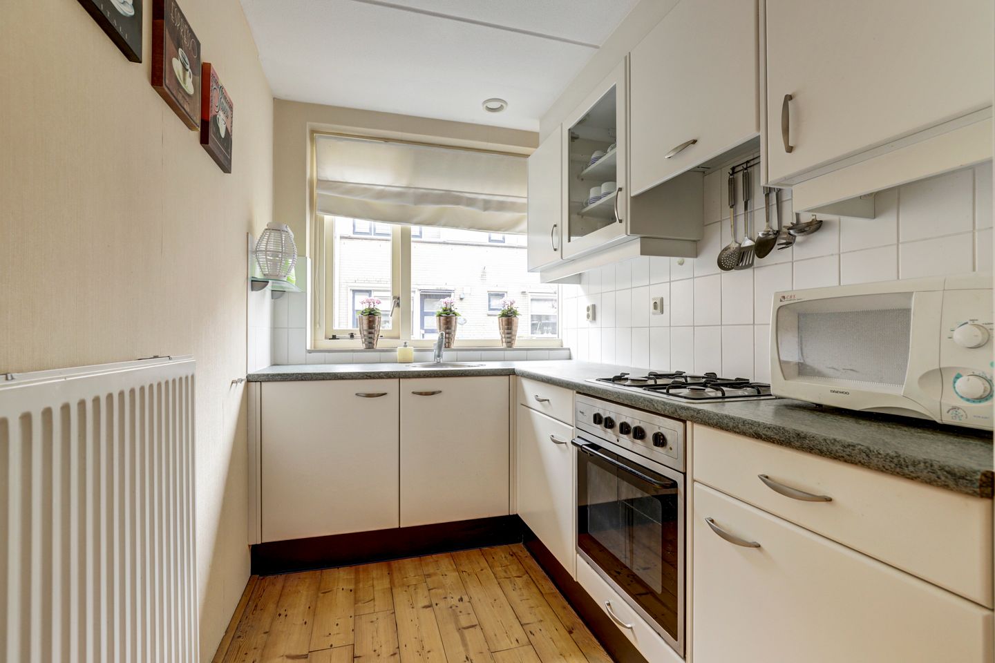 Foto 4 van Zilvermeeuw 29