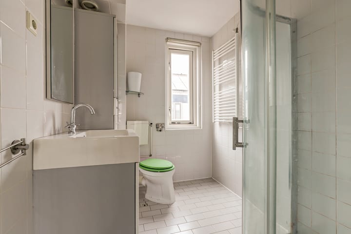 Foto 4 van Zilvermeeuw 29