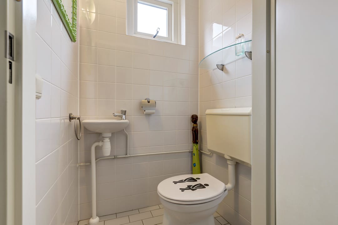 Foto 8 van Zilvermeeuw 29