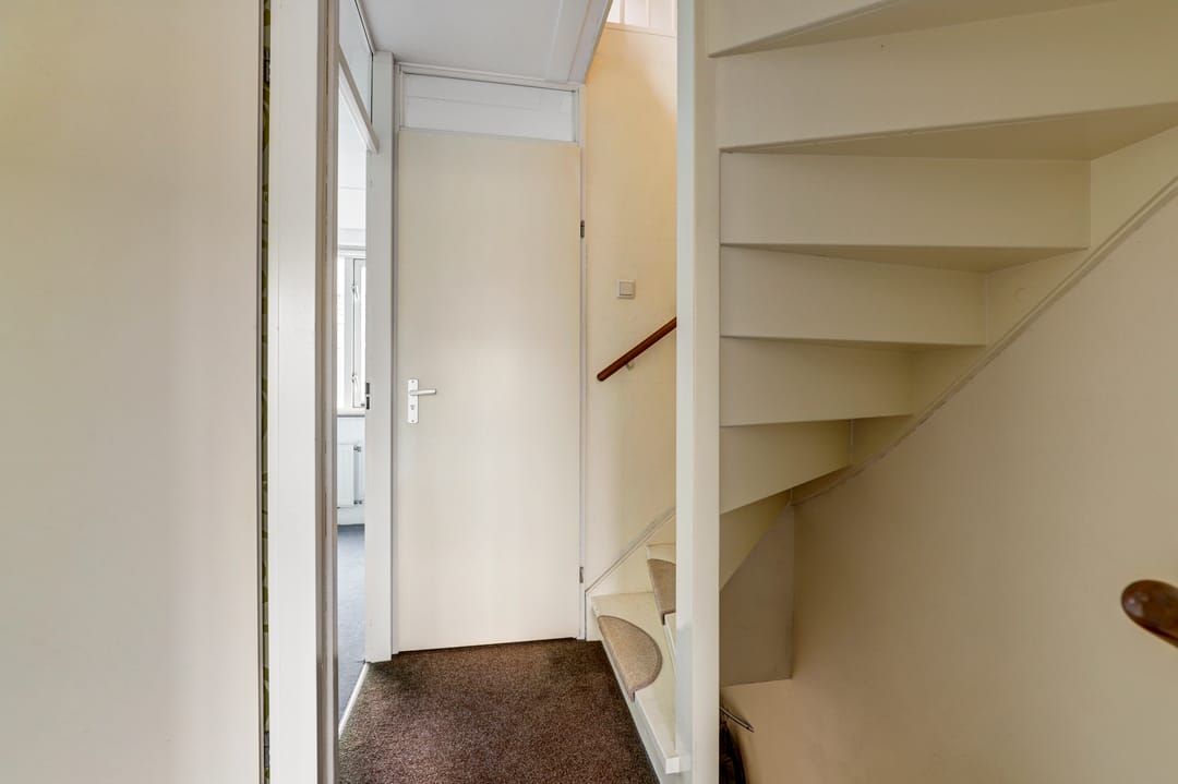 Foto 13 van Zilvermeeuw 29