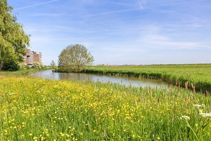 Foto 49 van Libelsingel 69