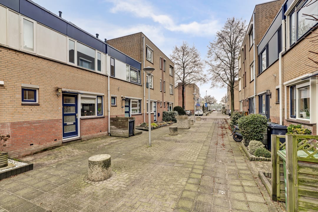 Foto 28 van Zilvermeeuw 29