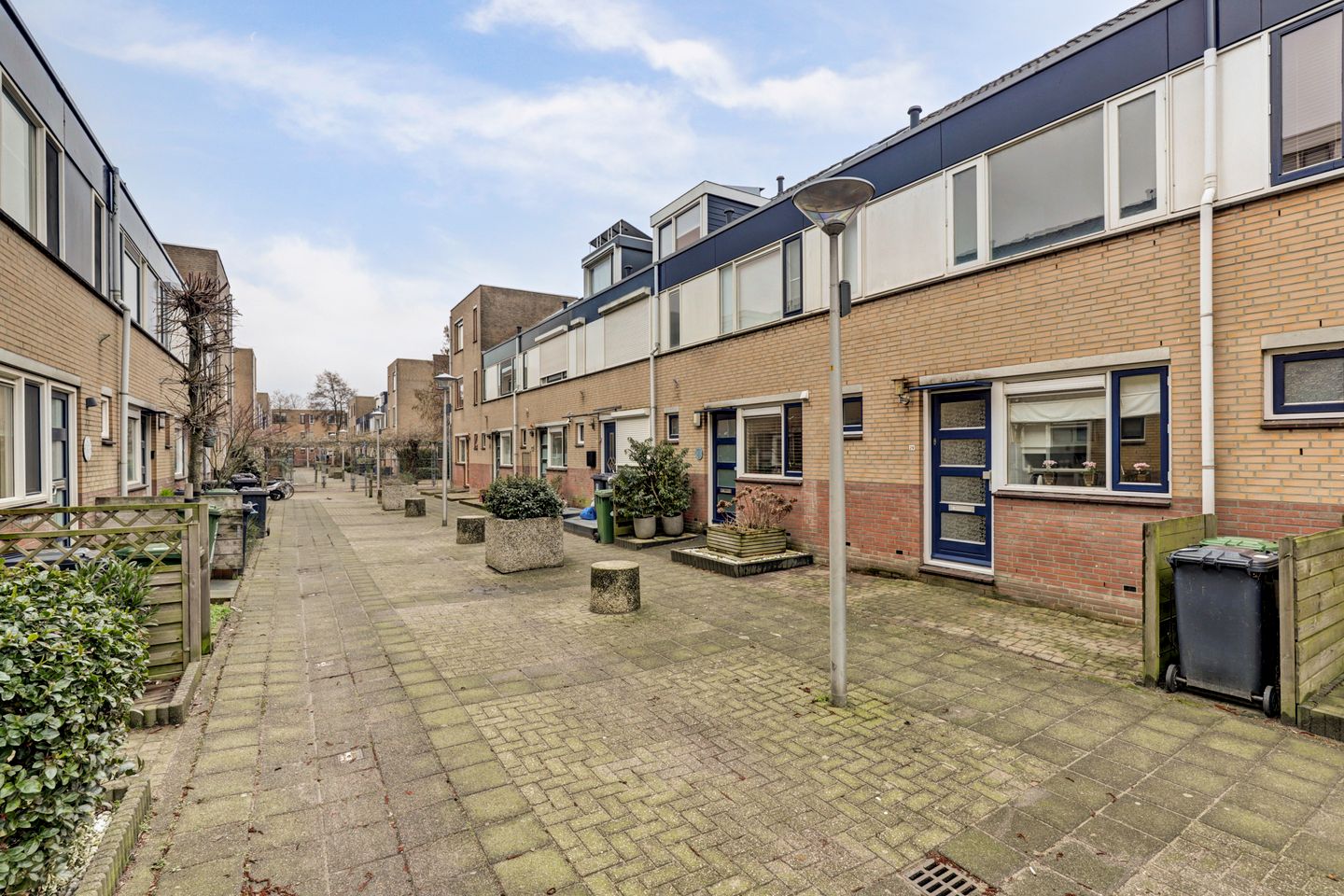 Foto 29 van Zilvermeeuw 29