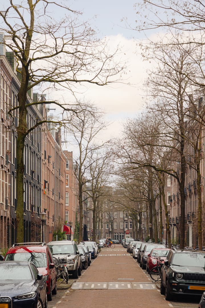 Foto 41 van Wilhelminastraat 167-3