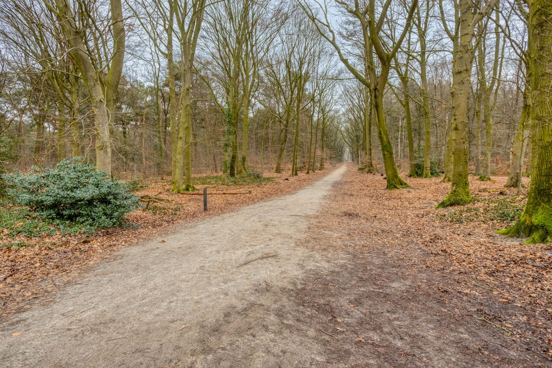 Photo 47 of Kijkduinlaan 7