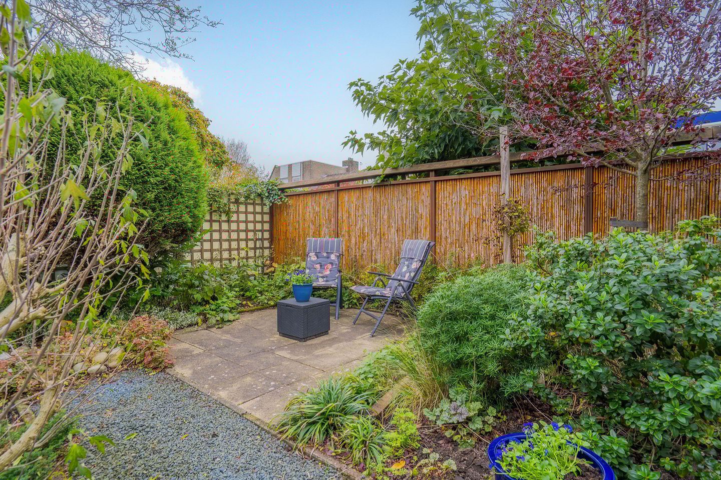 Photo 35 of Liesbos 62