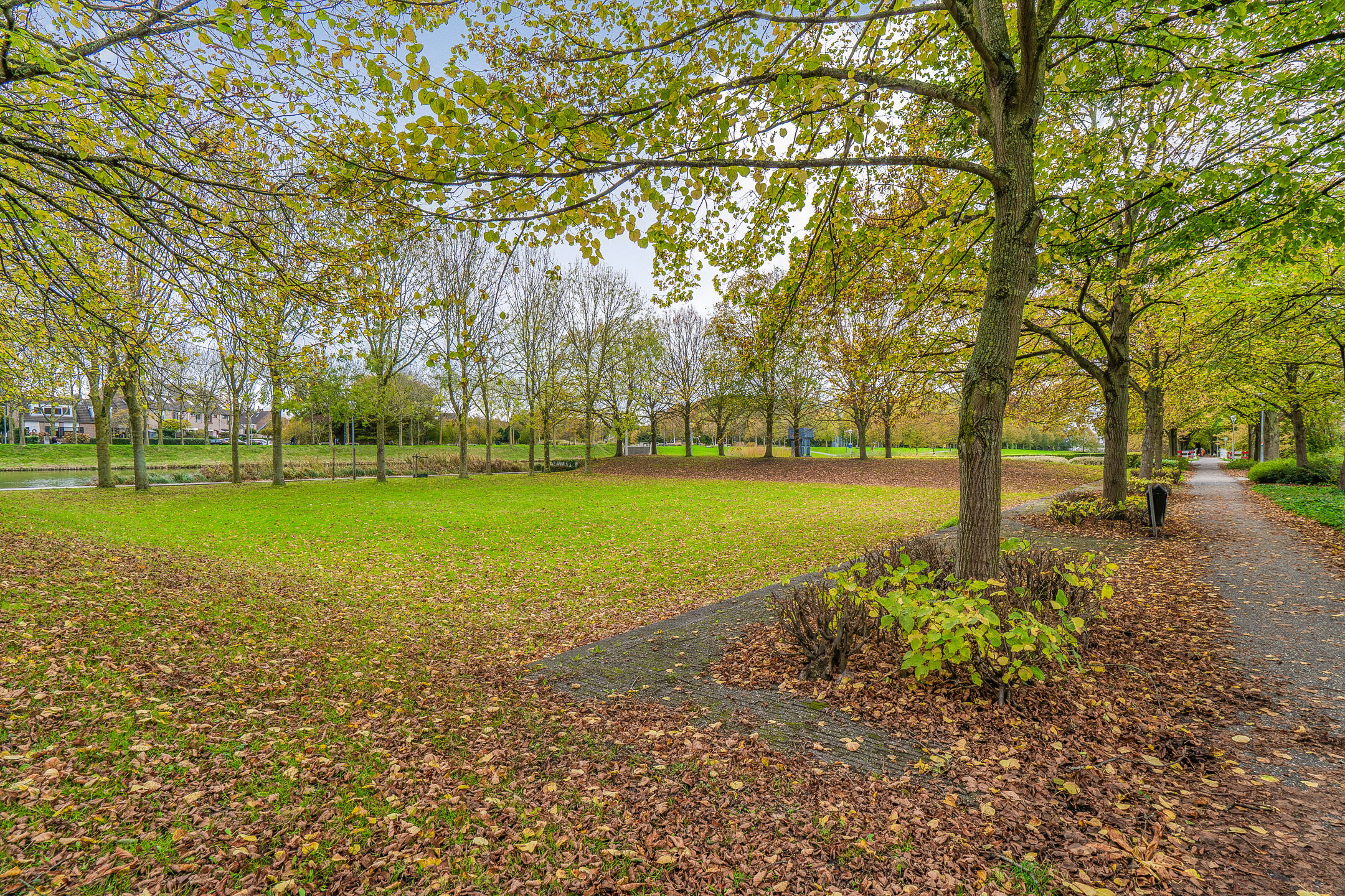 Photo 39 of Liesbos 62