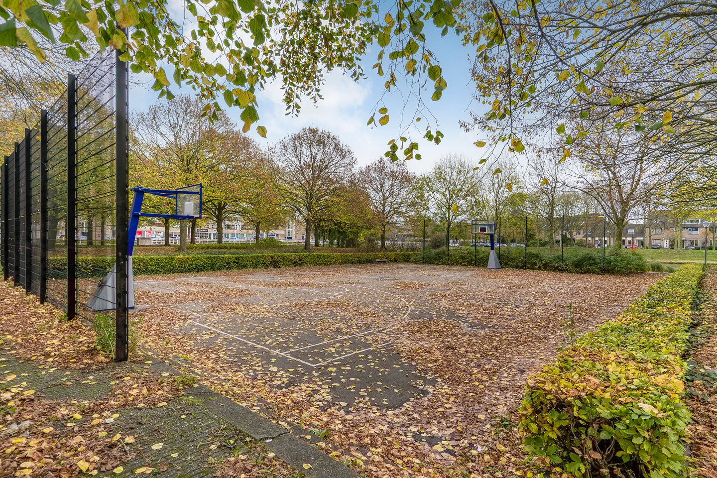 Photo 40 of Liesbos 62