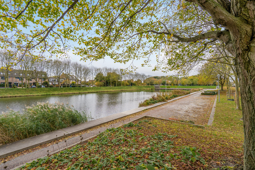 Photo 41 of Liesbos 62