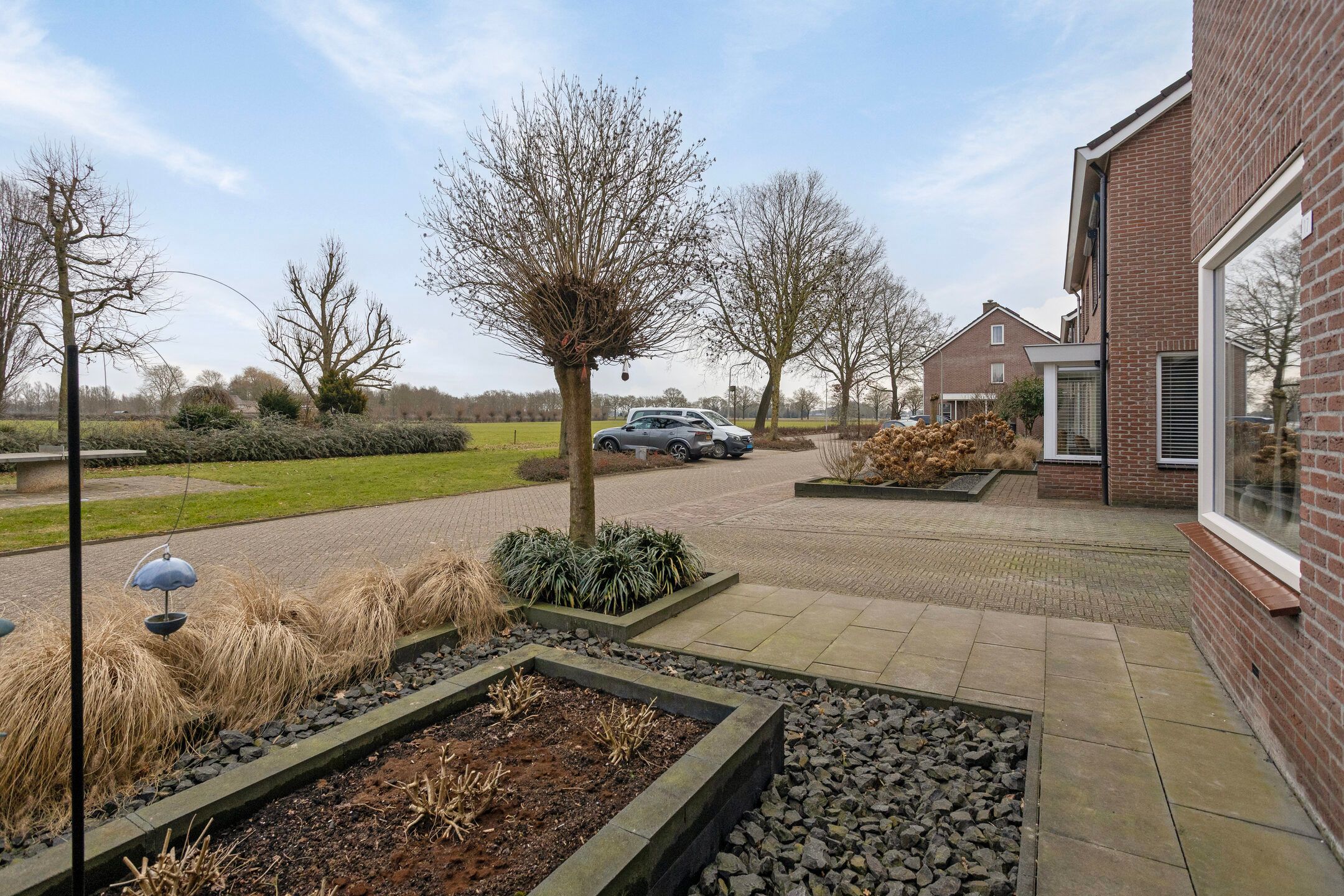 Photo 3 of Koolmees 17