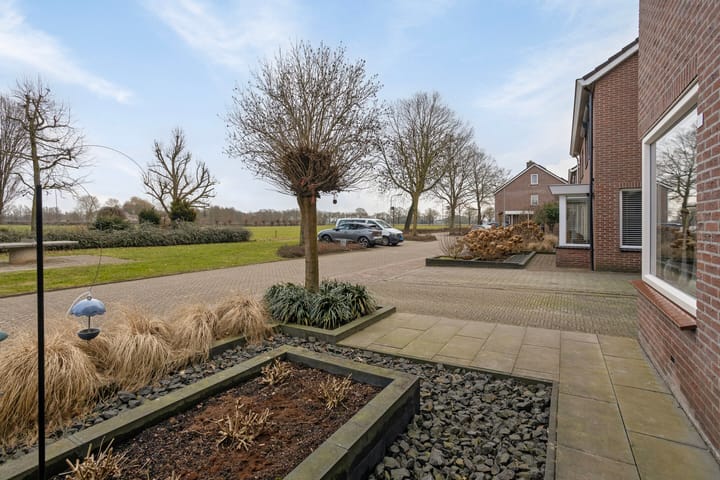 Foto 3 van Koolmees 17