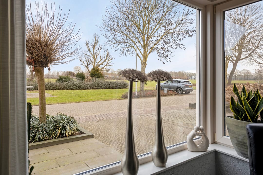 Photo 7 of Koolmees 17