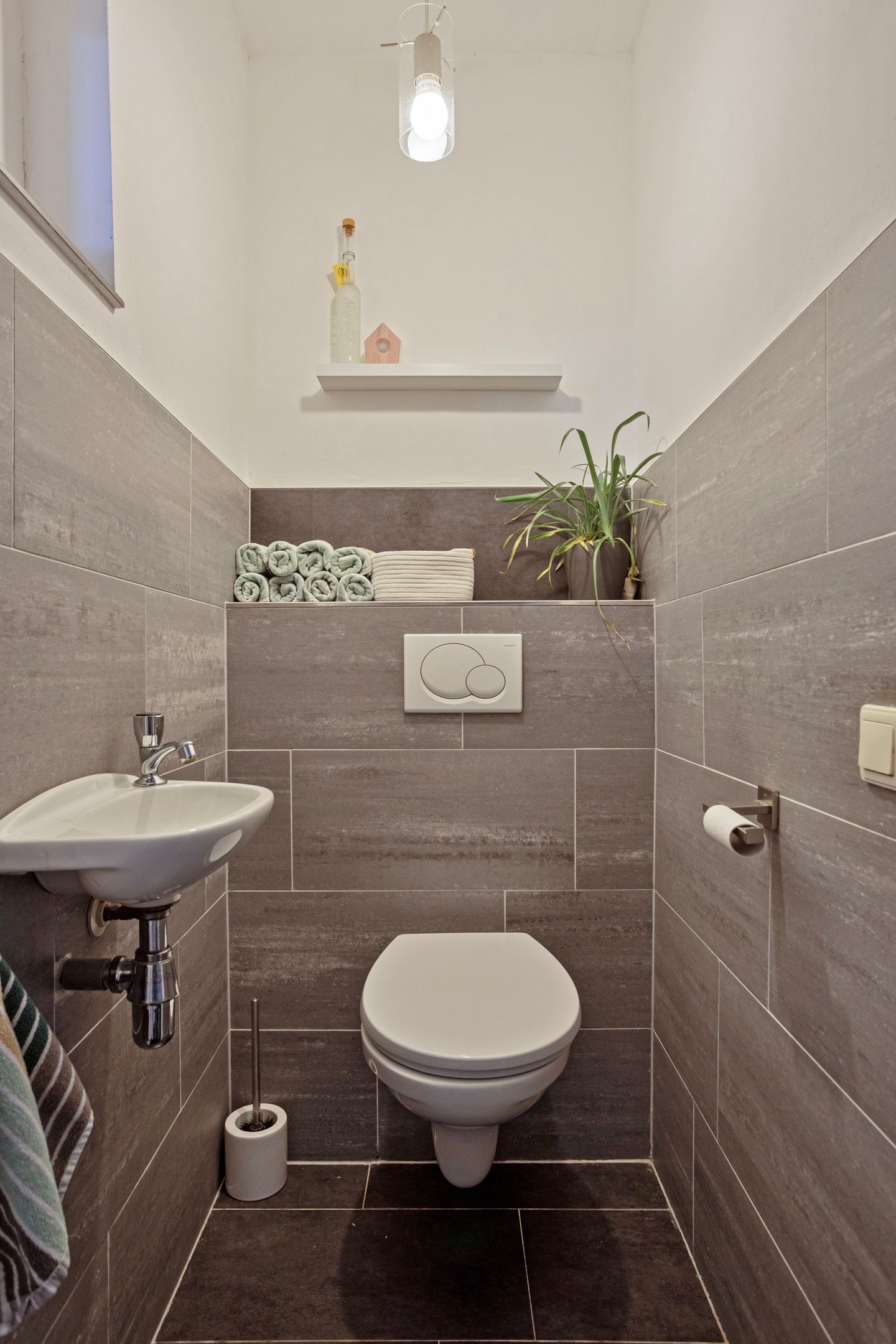 Photo 18 of Koolmees 17