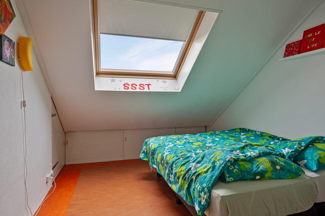 Photo 31 of Koolmees 17