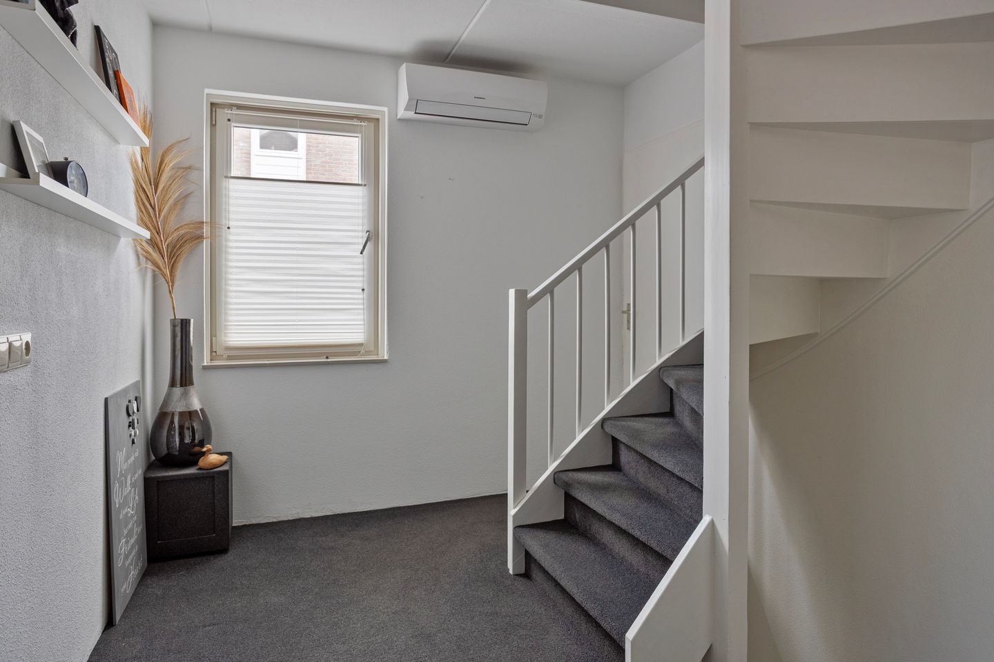 Photo 35 of Koolmees 17