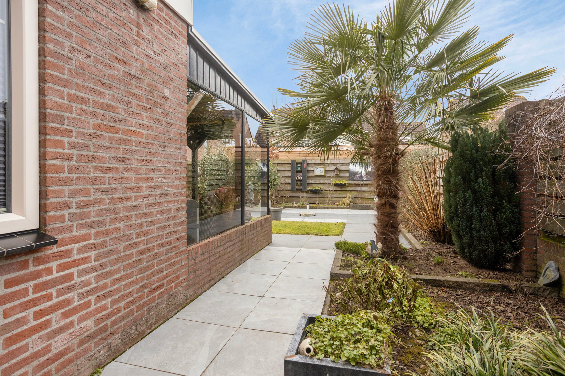 Photo 42 of Koolmees 17