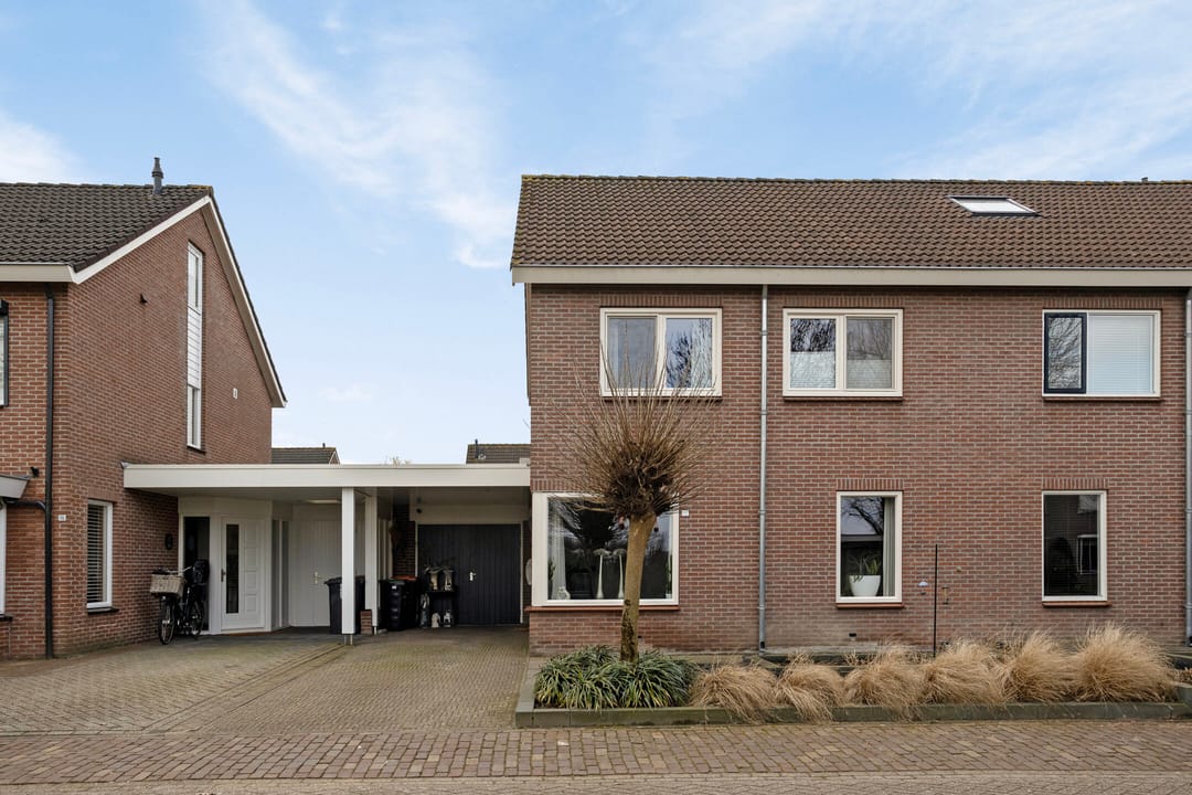 Photo 43 of Koolmees 17