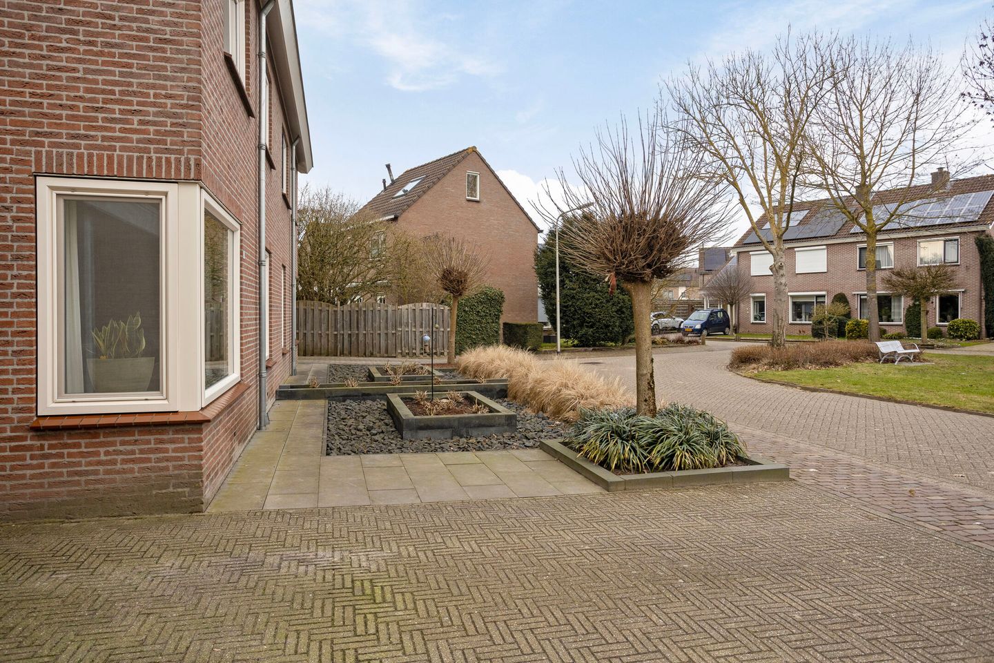 Photo 44 of Koolmees 17