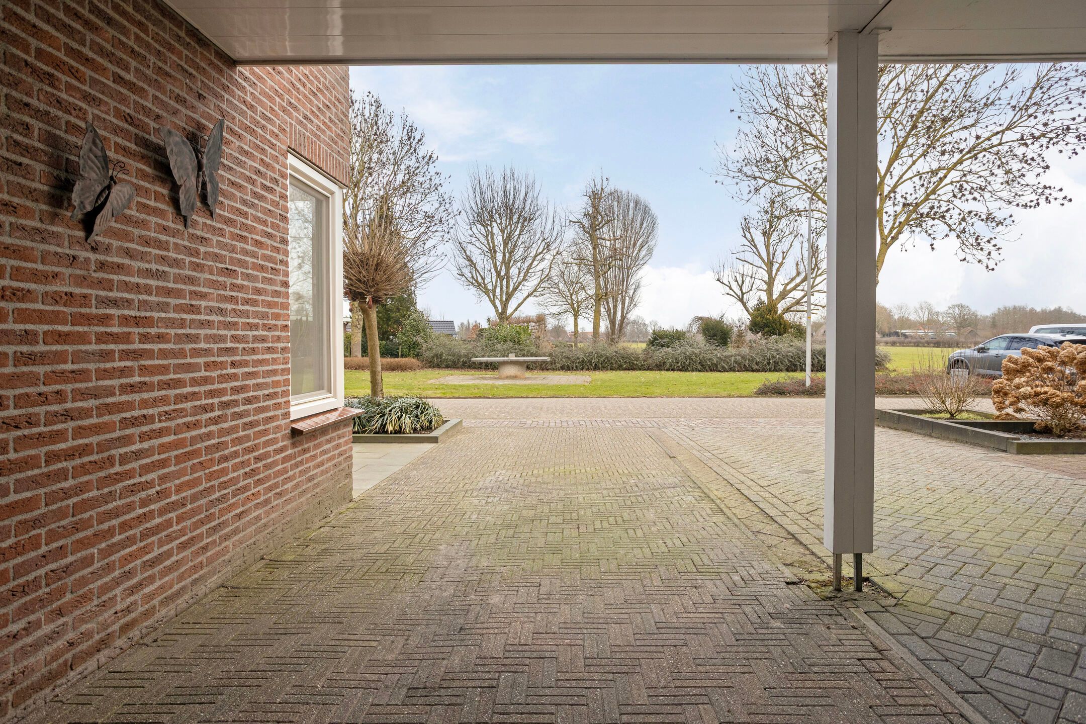 Photo 45 of Koolmees 17