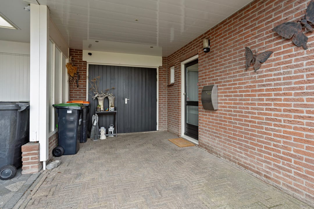 Photo 46 of Koolmees 17